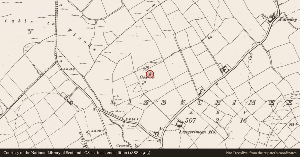 Ordnance Survey six-inch map, 2nd edition (1888–1915) covering the location of Souterrain, Lissycrimeen, County Cork, with a pin at the register's coordinates
