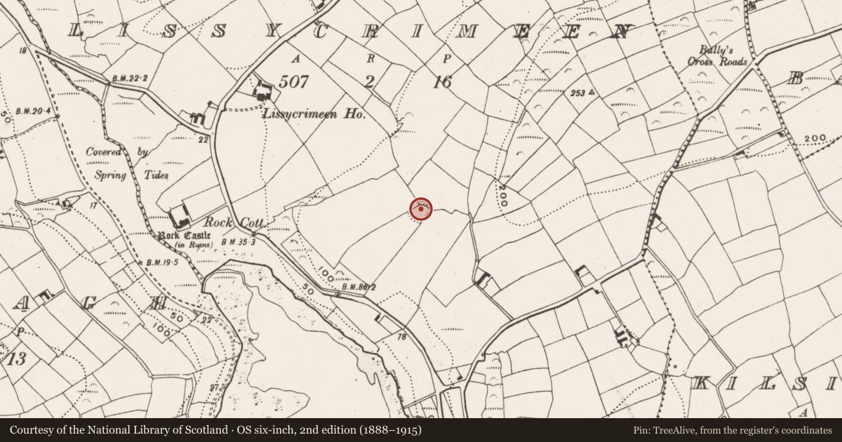 Ordnance Survey six-inch map, 2nd edition (1888–1915) covering the location of Ringfort - rath, Lissycrimeen, County Cork, with a pin at the register's coordinates