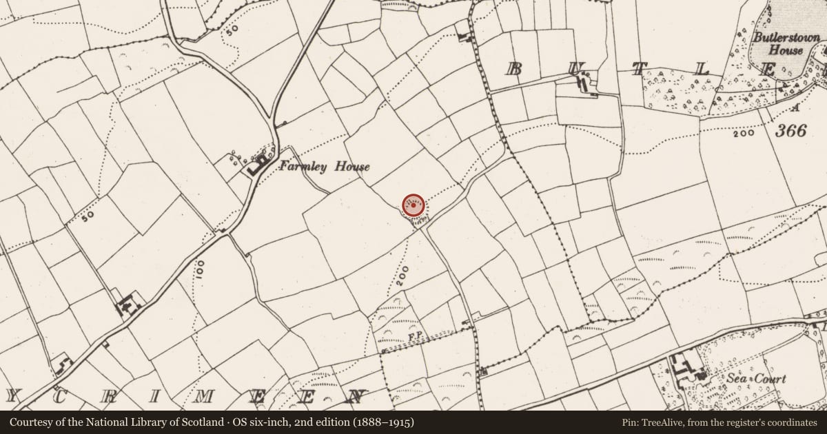 Ordnance Survey six-inch map, 2nd edition (1888–1915) covering the location of Ringfort - rath, Lissycrimeen, County Cork, with a pin at the register's coordinates