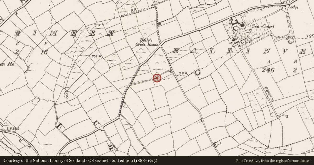 Ordnance Survey six-inch map, 2nd edition (1888–1915) covering the location of Enclosure, Kilsillagh, County Cork, with a pin at the register's coordinates