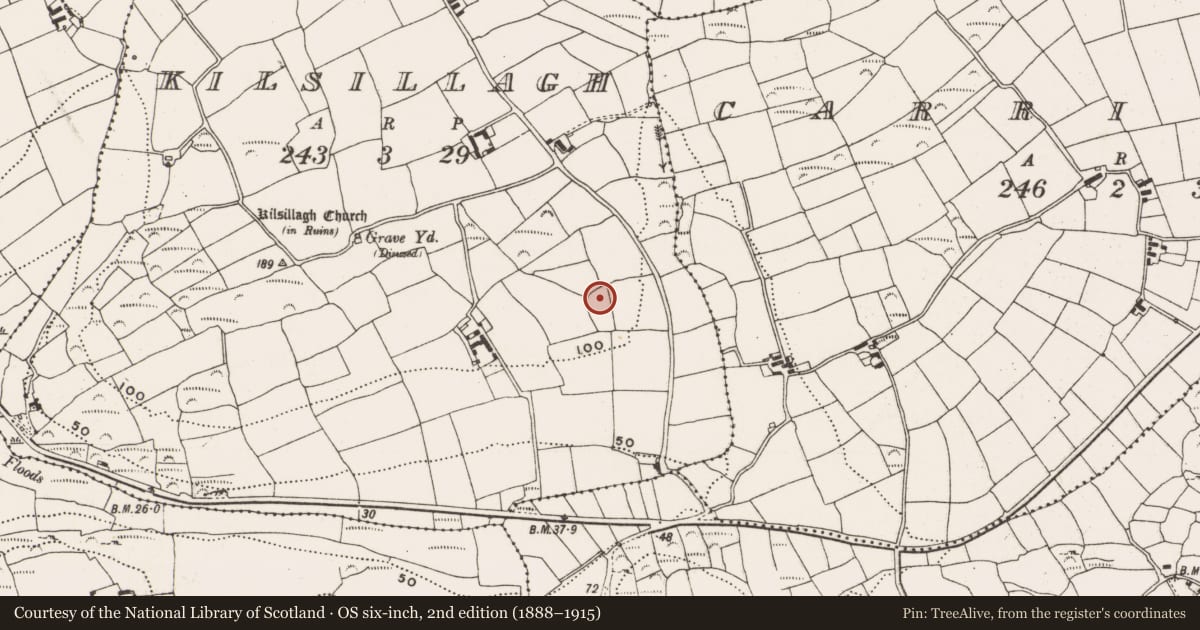 Ordnance Survey six-inch map, 2nd edition (1888–1915) covering the location of Quarry, Kilsillagh, County Cork, with a pin at the register's coordinates