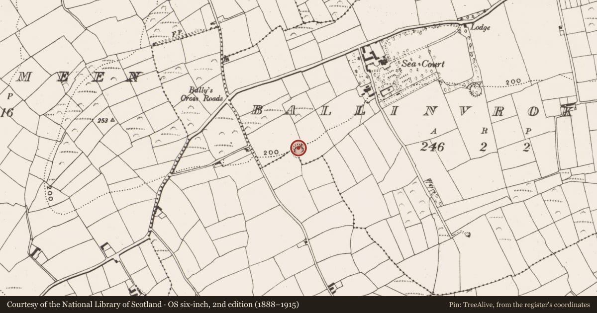 Ordnance Survey six-inch map, 2nd edition (1888–1915) covering the location of Ringfort - rath, Ballinvrokig, County Cork, with a pin at the register's coordinates