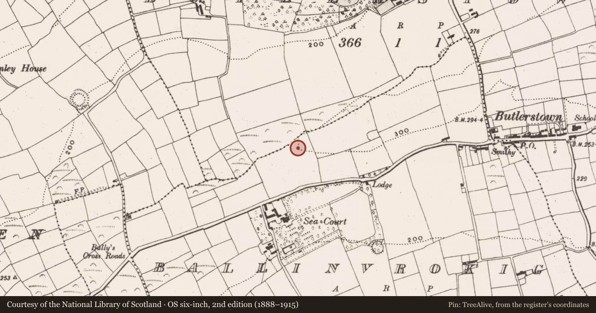 Ordnance Survey six-inch map, 2nd edition (1888–1915) covering the location of Ringfort - rath, Ballinvrokig, County Cork, with a pin at the register's coordinates