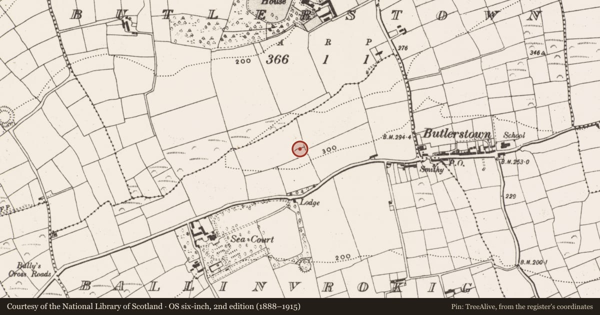Ordnance Survey six-inch map, 2nd edition (1888–1915) covering the location of Ringfort - rath, Ballinvrokig, County Cork, with a pin at the register's coordinates