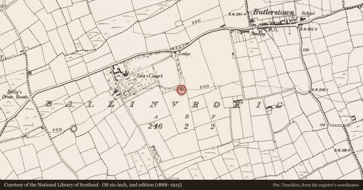 Ordnance Survey six-inch map, 2nd edition (1888–1915) covering the location of Ringfort - rath, Ballinvrokig, County Cork, with a pin at the register's coordinates
