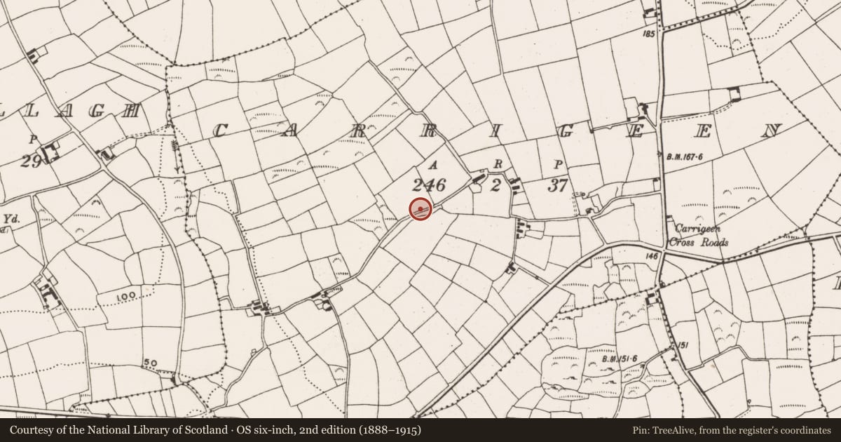 Ordnance Survey six-inch map, 2nd edition (1888–1915) covering the location of Burial ground, Carrigeen, County Cork, with a pin at the register's coordinates