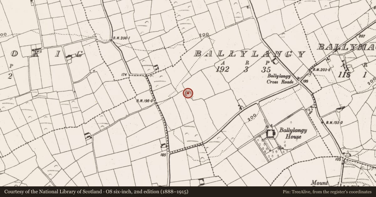 Ordnance Survey six-inch map, 2nd edition (1888–1915) covering the location of Ringfort - rath, Ballylangy, County Cork, with a pin at the register's coordinates
