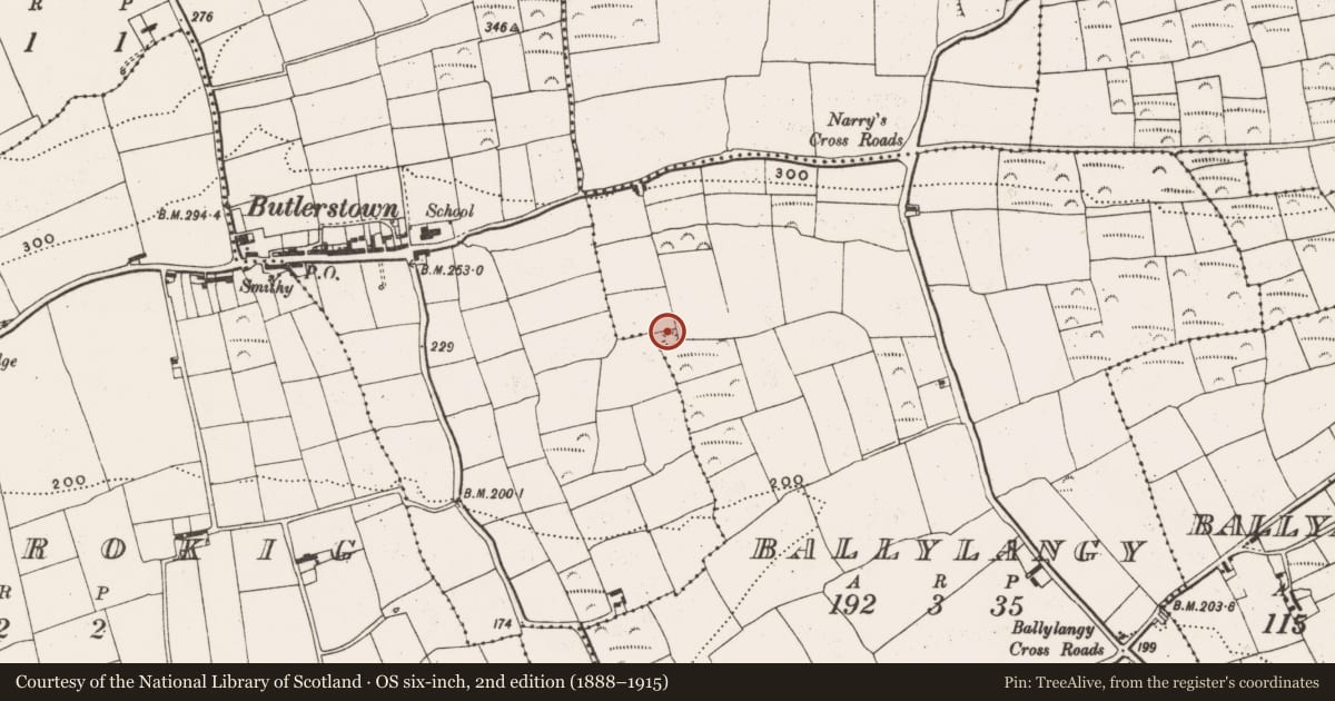 Ordnance Survey six-inch map, 2nd edition (1888–1915) covering the location of Barrow - ring-barrow, Ballylangy, County Cork, with a pin at the register's coordinates
