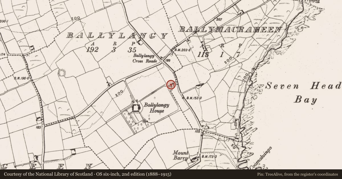 Ordnance Survey six-inch map, 2nd edition (1888–1915) covering the location of Designed landscape - tree-ring, Ballylangy, County Cork, with a pin at the register's coordinates