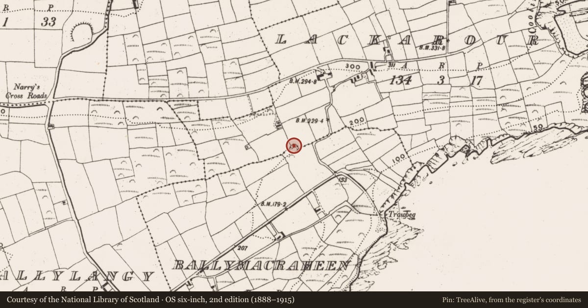 Ordnance Survey six-inch map, 2nd edition (1888–1915) covering the location of Ringfort - rath, Ballymacraheen, Lackarour, County Cork, with a pin at the register's coordinates