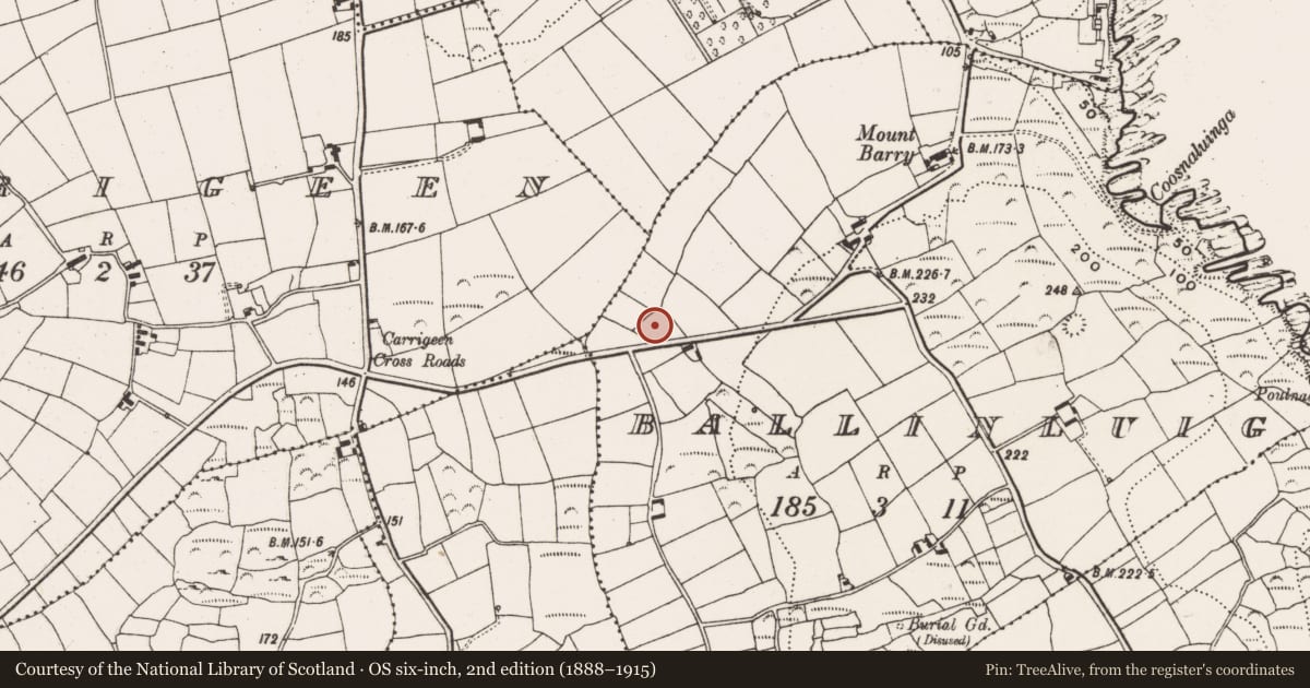 Ordnance Survey six-inch map, 2nd edition (1888–1915) covering the location of Burial ground, Ballinluig, County Cork, with a pin at the register's coordinates