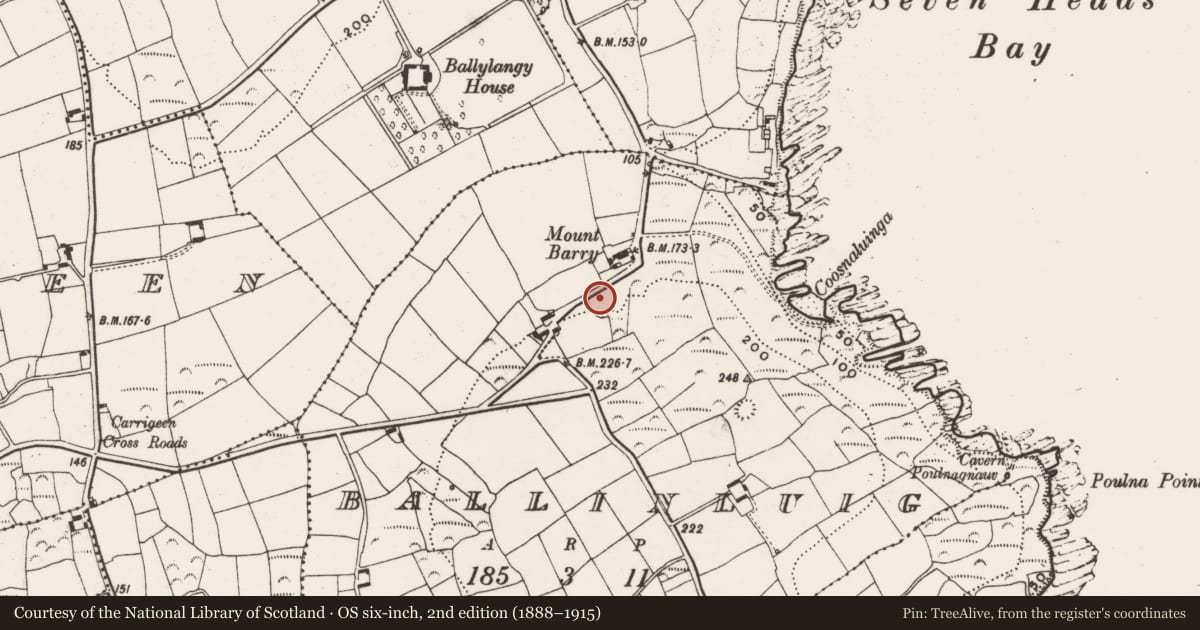 Ordnance Survey six-inch map, 2nd edition (1888–1915) covering the location of Quarry, Ballinluig, County Cork, with a pin at the register's coordinates