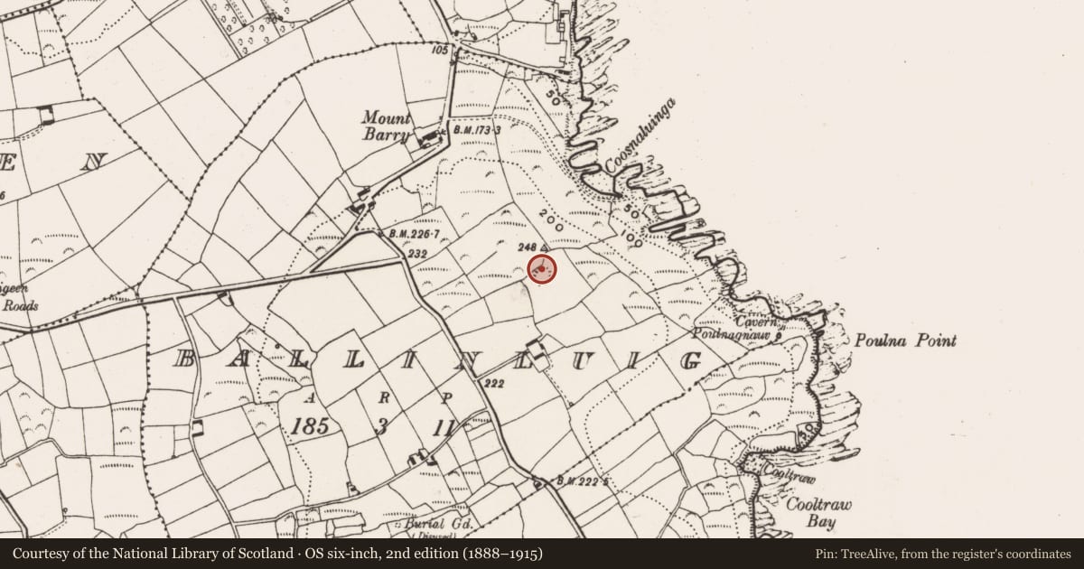 Ordnance Survey six-inch map, 2nd edition (1888–1915) covering the location of Ringfort - rath, Ballinluig, County Cork, with a pin at the register's coordinates