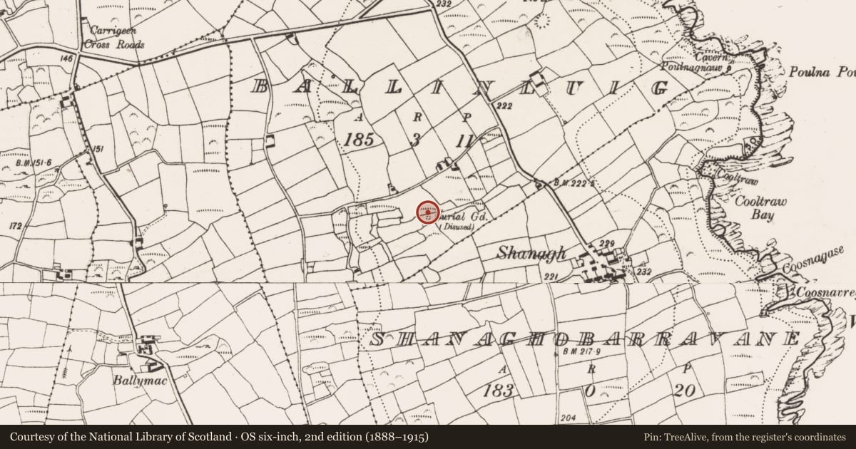 Ordnance Survey six-inch map, 2nd edition (1888–1915) covering the location of Burial ground, Ballinluig, County Cork, with a pin at the register's coordinates