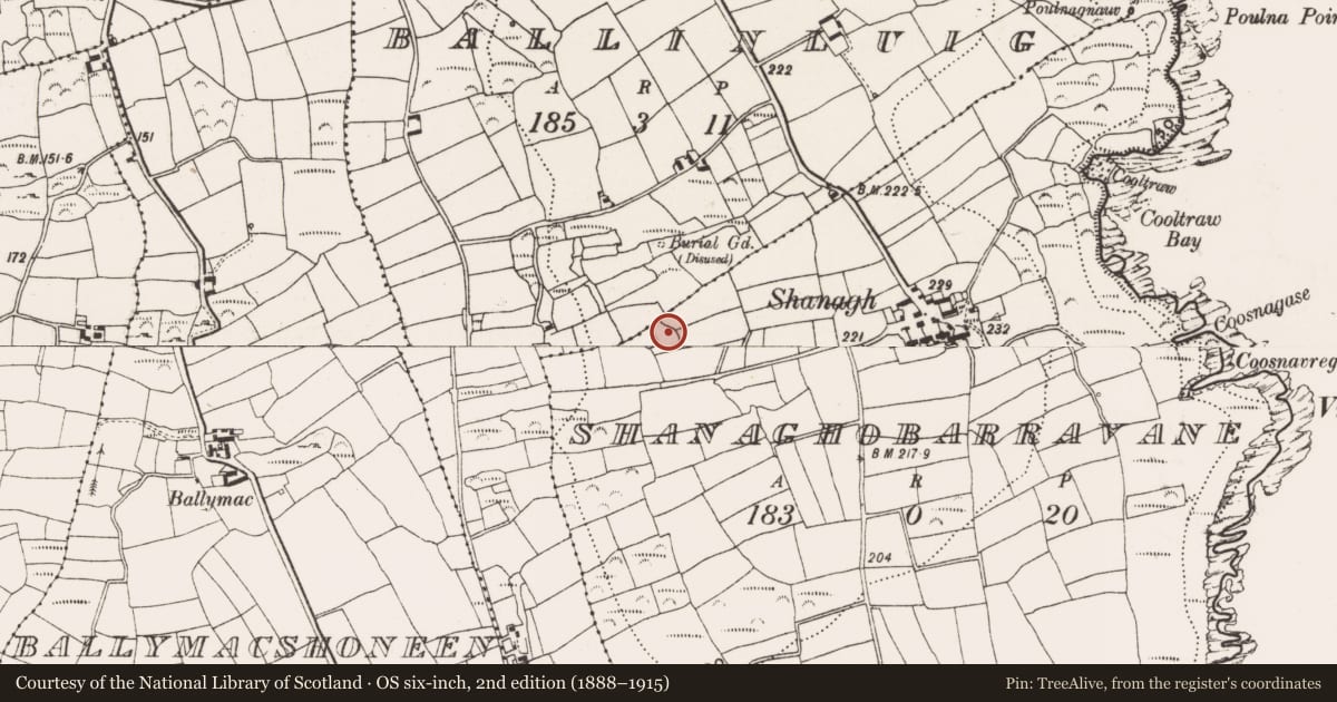 Ordnance Survey six-inch map, 2nd edition (1888–1915) covering the location of Ringfort - rath, Shanaghobarravane, County Cork, with a pin at the register's coordinates