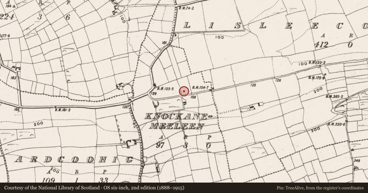 Ordnance Survey six-inch map, 2nd edition (1888–1915) covering the location of Hut site, Knockanemeeleen, County Cork, with a pin at the register's coordinates
