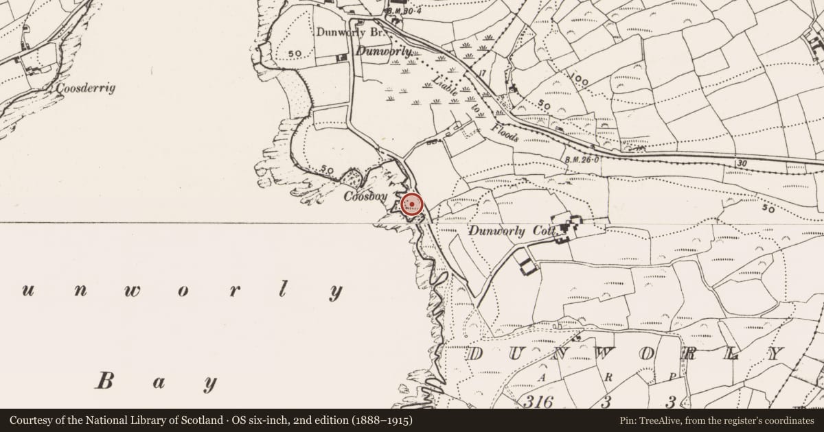Ordnance Survey six-inch map, 2nd edition (1888–1915) covering the location of Promontory fort - coastal, Dunworly, County Cork, with a pin at the register's coordinates