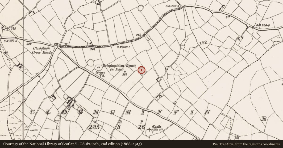 Ordnance Survey six-inch map, 2nd edition (1888–1915) covering the location of Souterrain, Cloghgriffin, County Cork, with a pin at the register's coordinates