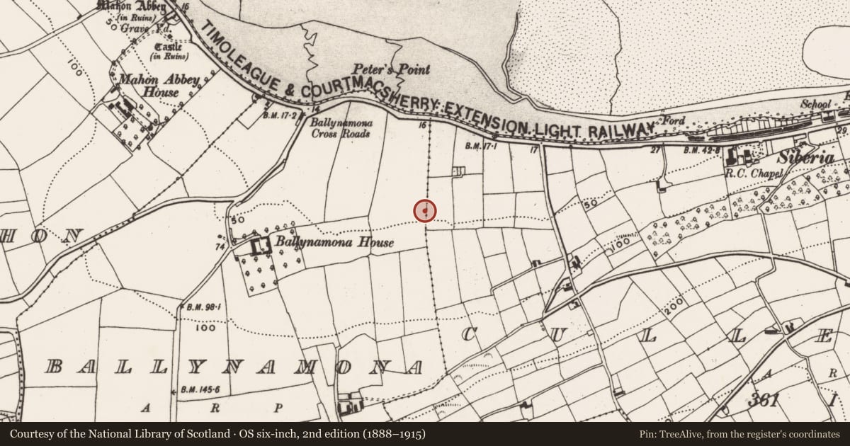 Ordnance Survey six-inch map, 2nd edition (1888–1915) covering the location of Ringfort - rath, Ballynamona, County Cork, with a pin at the register's coordinates