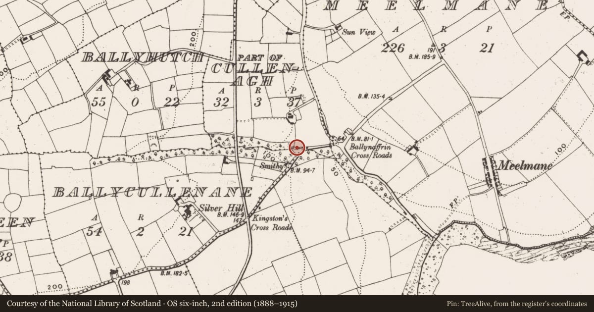 Ordnance Survey six-inch map, 2nd edition (1888–1915) covering the location of Mass-rock, Ballycullenhane, County Cork, with a pin at the register's coordinates