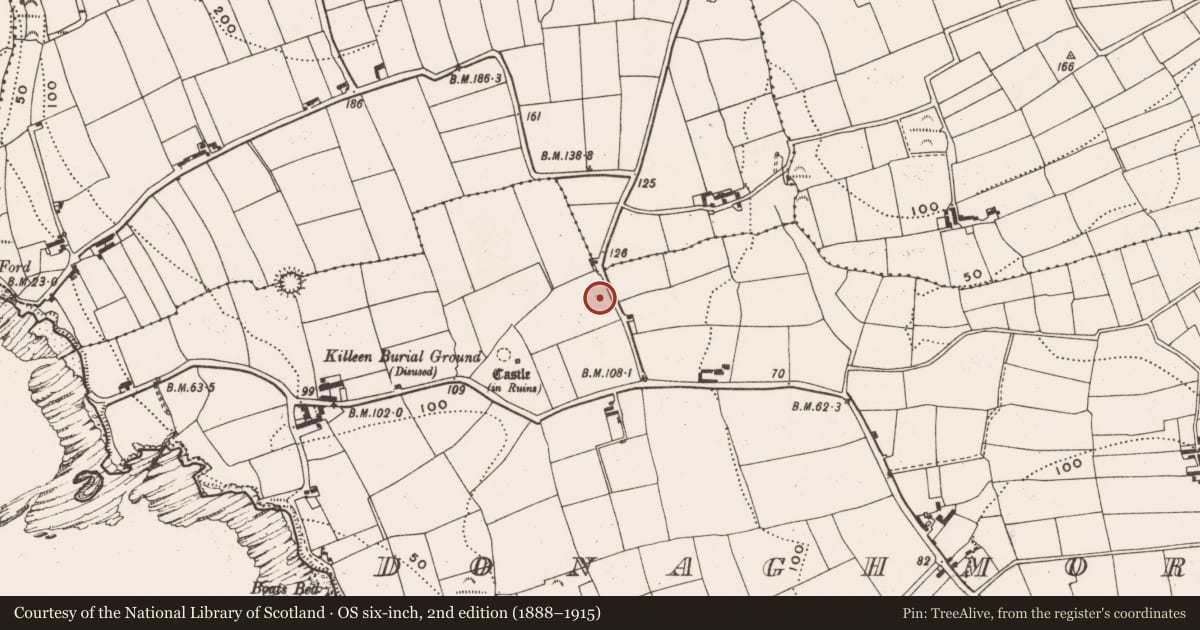 Ordnance Survey six-inch map, 2nd edition (1888–1915) covering the location of Church, Donaghmore, County Cork, with a pin at the register's coordinates