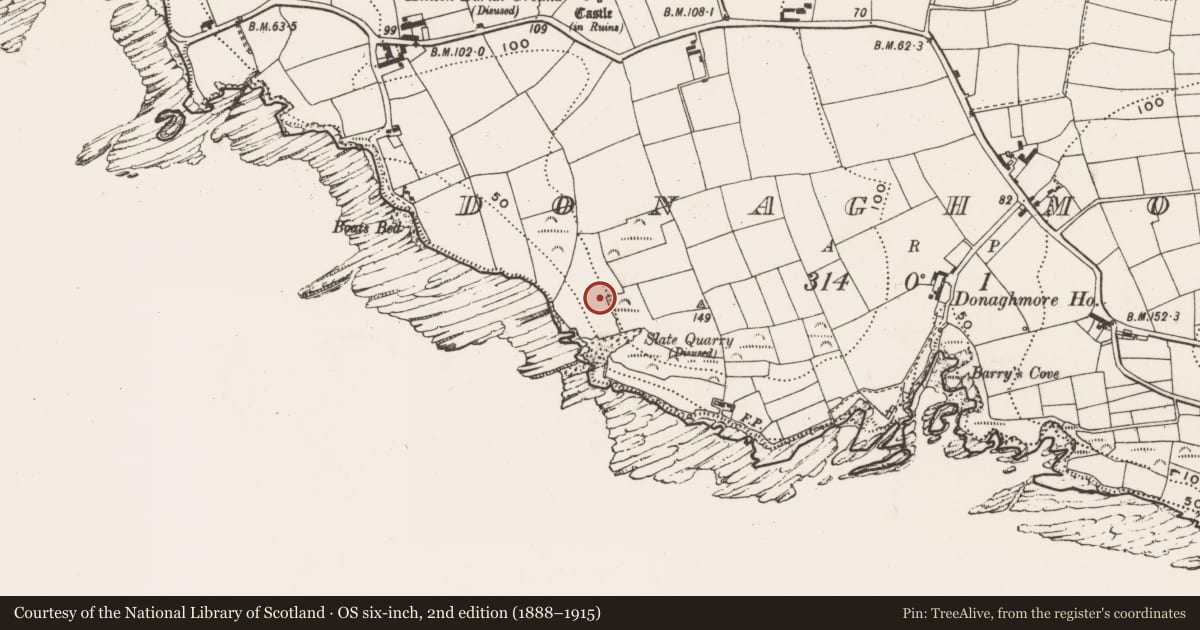 Ordnance Survey six-inch map, 2nd edition (1888–1915) covering the location of Ritual site - holy well, Donaghmore, County Cork, with a pin at the register's coordinates