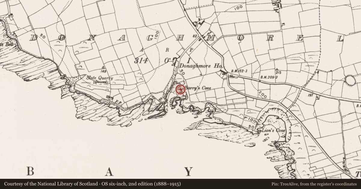 Ordnance Survey six-inch map, 2nd edition (1888–1915) covering the location of Promontory fort - coastal, Donaghmore, County Cork, with a pin at the register's coordinates