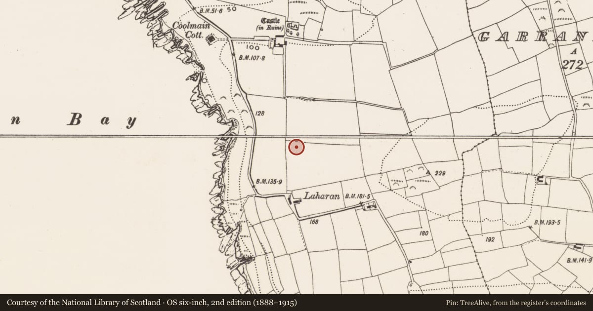 Ordnance Survey six-inch map, 2nd edition (1888–1915) covering the location of Ringfort - rath, Coolmain, County Cork, with a pin at the register's coordinates