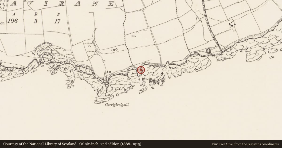 Ordnance Survey six-inch map, 2nd edition (1888–1915) covering the location of Promontory fort - coastal, Rochestown, County Cork, with a pin at the register's coordinates