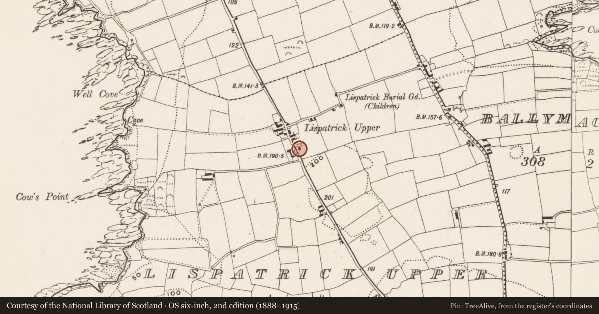 Ordnance Survey six-inch map, 2nd edition (1888–1915) covering the location of Souterrain, Lispatrick Upper, County Cork, with a pin at the register's coordinates