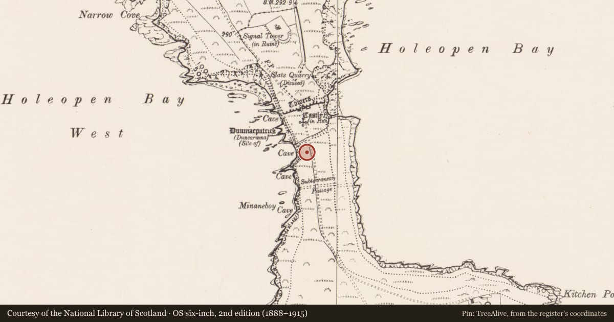 Ordnance Survey six-inch map, 2nd edition (1888–1915) covering the location of Enclosure, Downmacpatrick Or Old Head, County Cork, with a pin at the register's coordinates