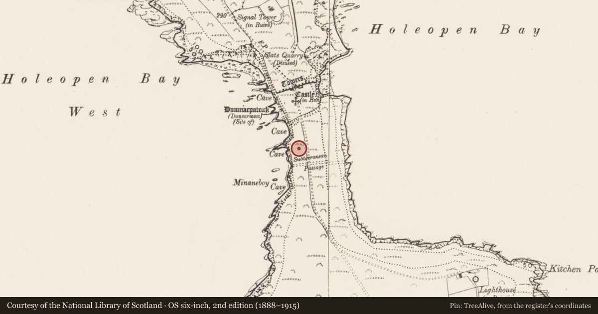 Ordnance Survey six-inch map, 2nd edition (1888–1915) covering the location of Hut site, Downmacpatrick Or Old Head, County Cork, with a pin at the register's coordinates
