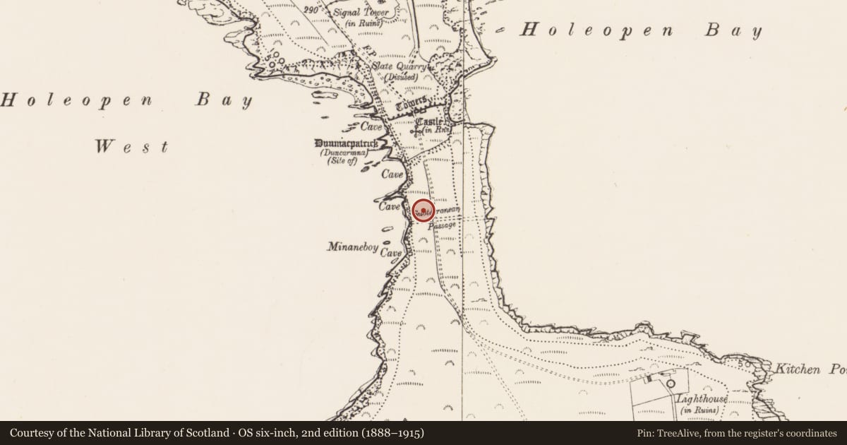 Ordnance Survey six-inch map, 2nd edition (1888–1915) covering the location of Hut site, Downmacpatrick Or Old Head, County Cork, with a pin at the register's coordinates