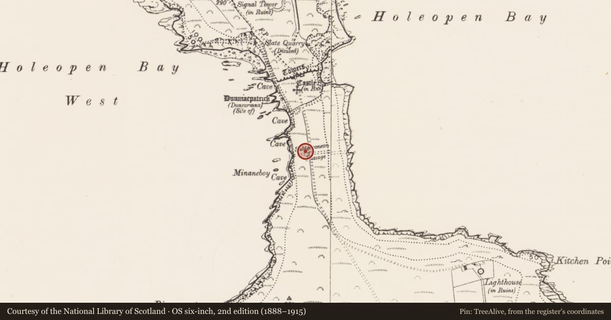 Ordnance Survey six-inch map, 2nd edition (1888–1915) covering the location of Hut site, Downmacpatrick Or Old Head, County Cork, with a pin at the register's coordinates