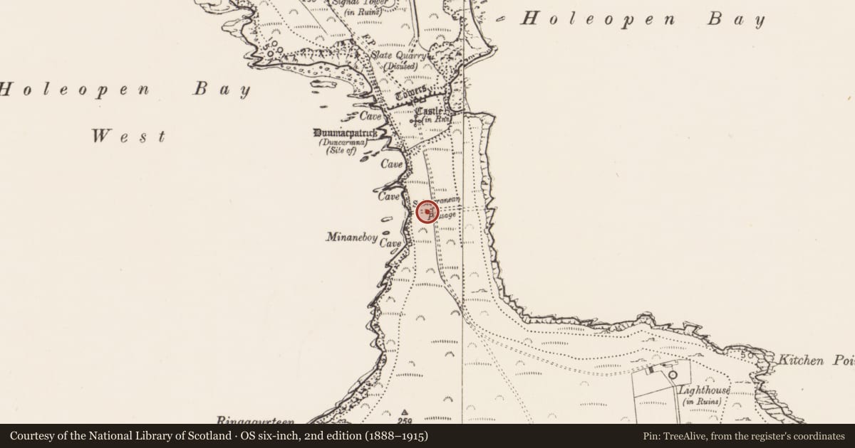 Ordnance Survey six-inch map, 2nd edition (1888–1915) covering the location of Hut site, Downmacpatrick Or Old Head, County Cork, with a pin at the register's coordinates