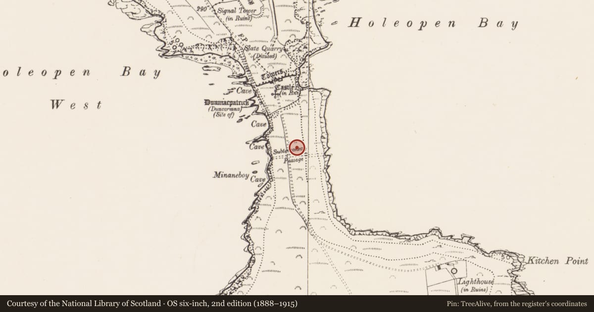 Ordnance Survey six-inch map, 2nd edition (1888–1915) covering the location of Enclosure, Downmacpatrick Or Old Head, County Cork, with a pin at the register's coordinates