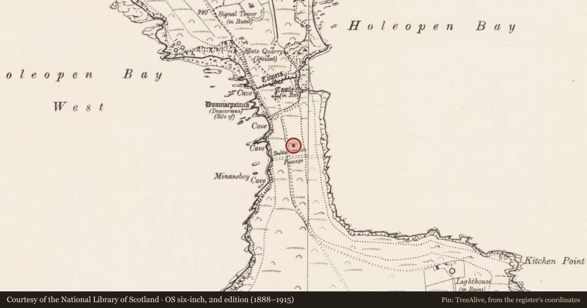 Ordnance Survey six-inch map, 2nd edition (1888–1915) covering the location of Enclosure, Downmacpatrick Or Old Head, County Cork, with a pin at the register's coordinates