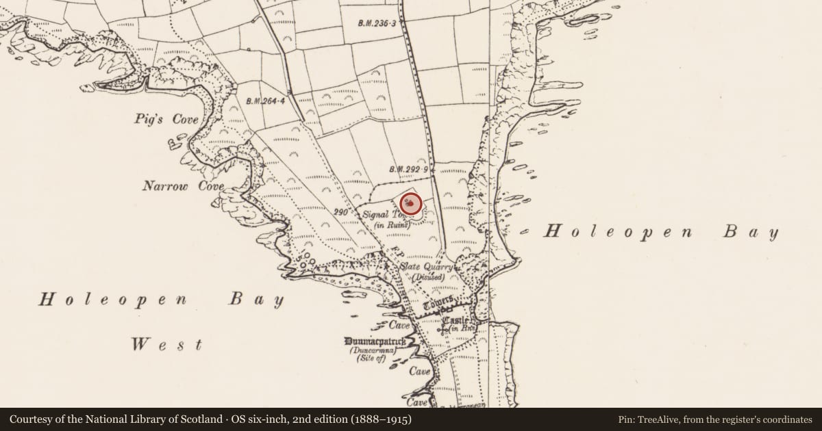 Ordnance Survey six-inch map, 2nd edition (1888–1915) covering the location of Signal tower, Ballymackean, County Cork, with a pin at the register's coordinates