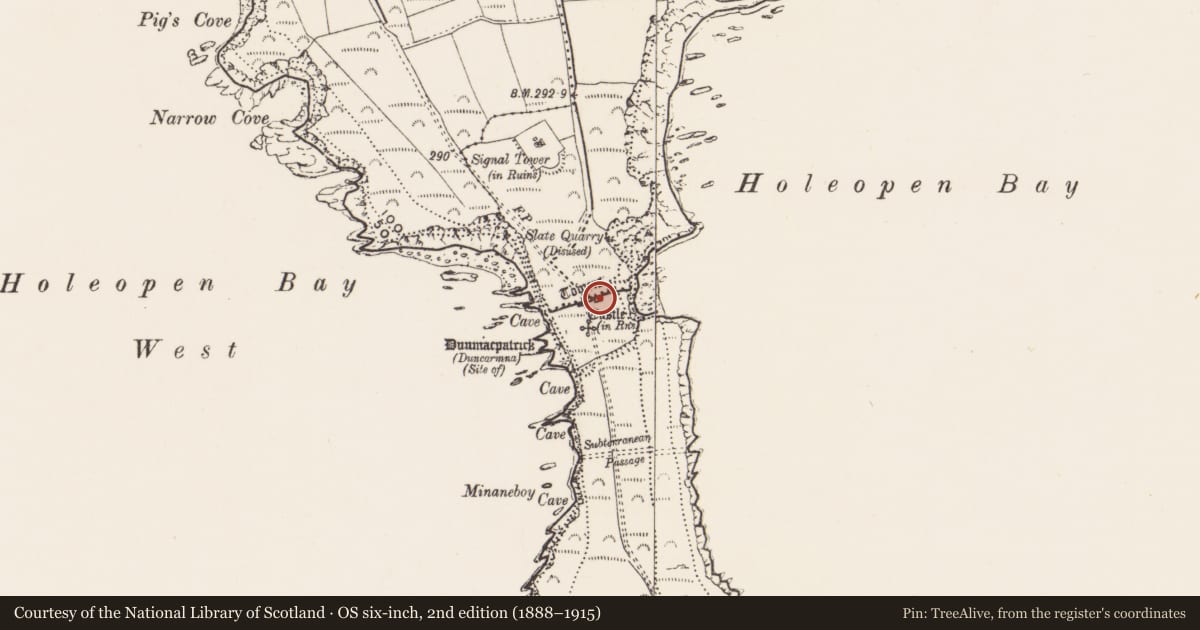 Ordnance Survey six-inch map, 2nd edition (1888–1915) covering the location of Castle - tower house, Downmacpatrick Or Old Head, County Cork, with a pin at the register's coordinates