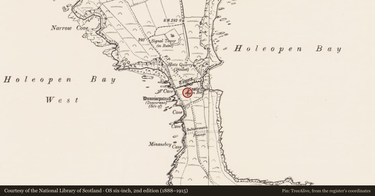 Ordnance Survey six-inch map, 2nd edition (1888–1915) covering the location of Bawn, Downmacpatrick Or Old Head, County Cork, with a pin at the register's coordinates