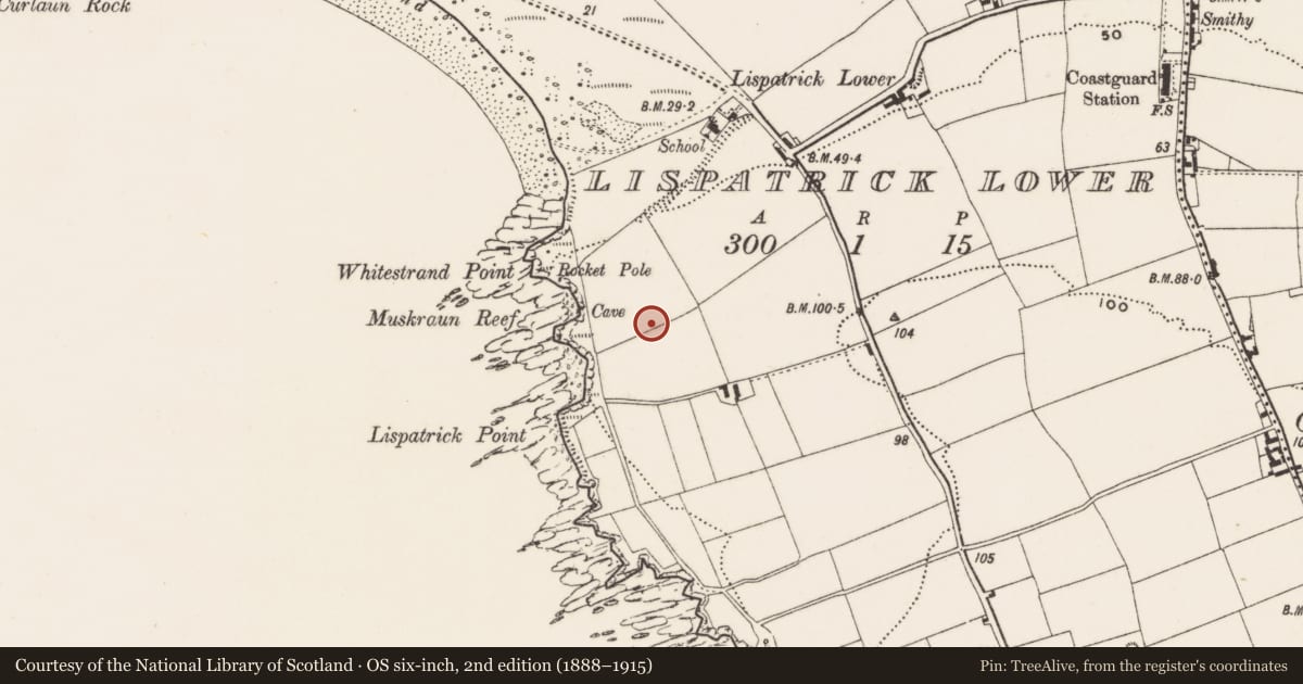 Ordnance Survey six-inch map, 2nd edition (1888–1915) covering the location of Enclosure, Lispatrick Lower, County Cork, with a pin at the register's coordinates