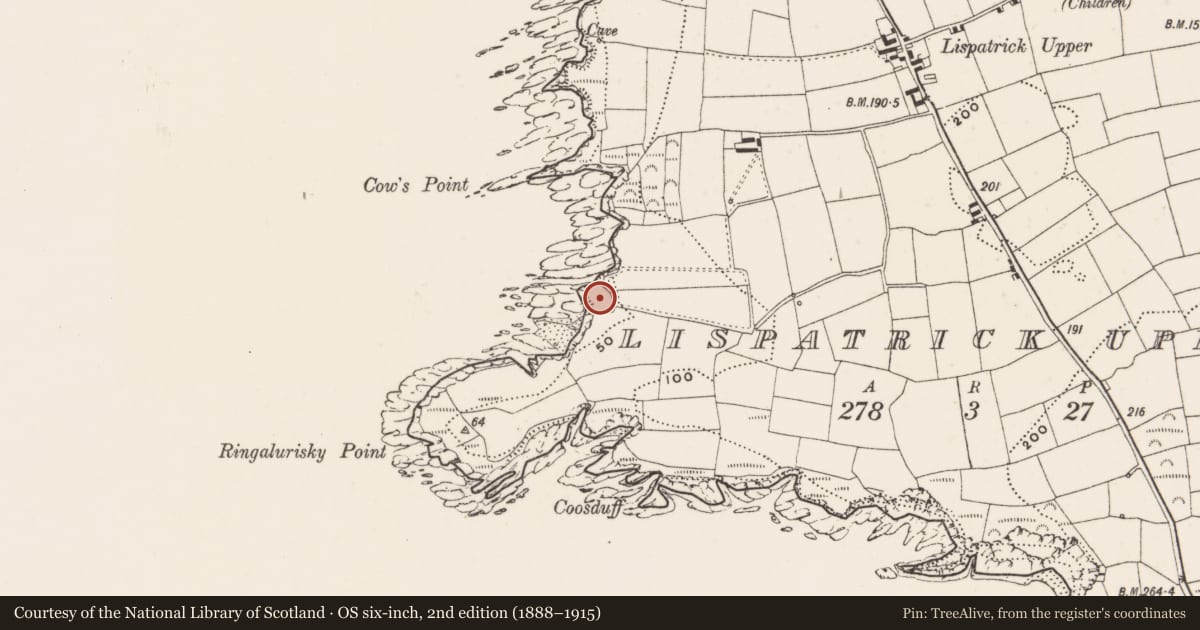 Ordnance Survey six-inch map, 2nd edition (1888–1915) covering the location of Ringfort - rath, Lispatrick Upper, County Cork, with a pin at the register's coordinates