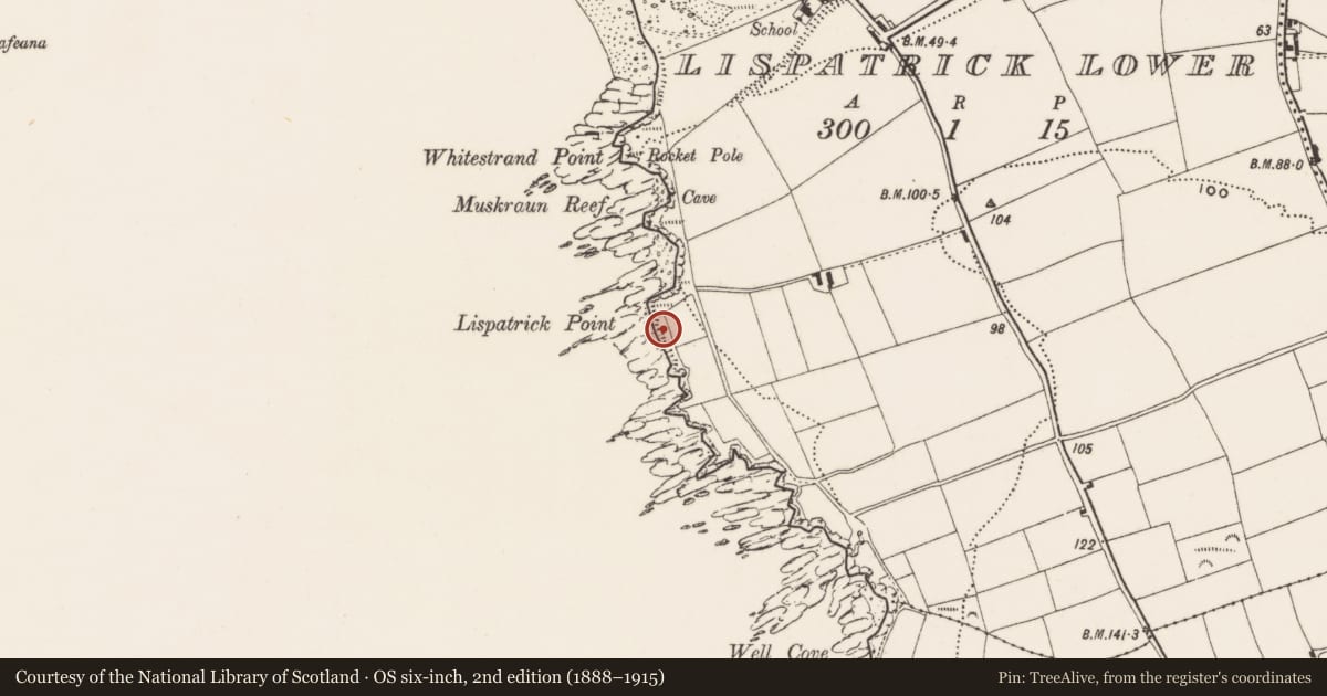 Ordnance Survey six-inch map, 2nd edition (1888–1915) covering the location of Burial, Lispatrick Lower, County Cork, with a pin at the register's coordinates