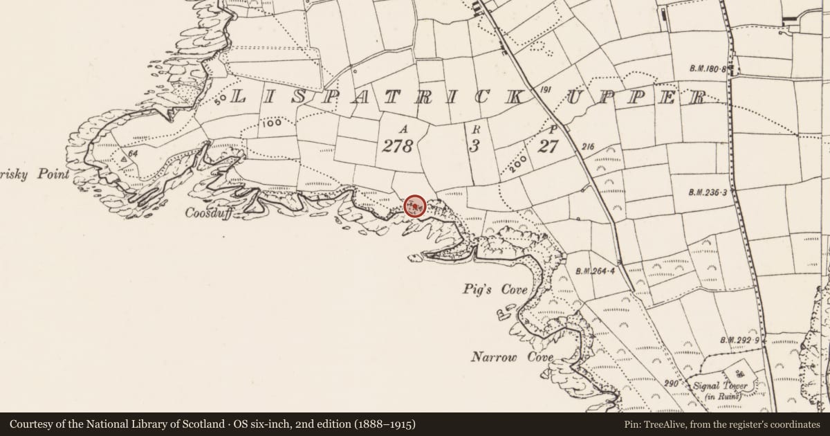 Ordnance Survey six-inch map, 2nd edition (1888–1915) covering the location of Mass-rock, Lispatrick Upper, County Cork, with a pin at the register's coordinates