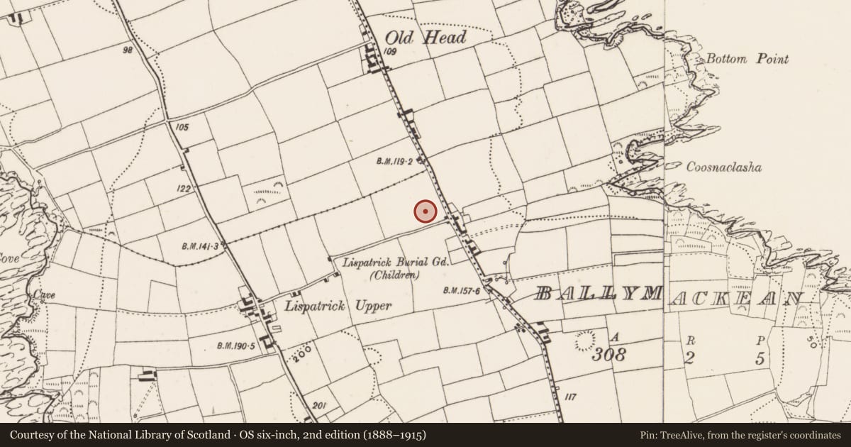 Ordnance Survey six-inch map, 2nd edition (1888–1915) covering the location of Souterrain, Lispatrick Lower, County Cork, with a pin at the register's coordinates