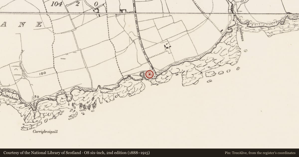 Ordnance Survey six-inch map, 2nd edition (1888–1915) covering the location of Promontory fort - coastal, Hacketstown, County Cork, with a pin at the register's coordinates