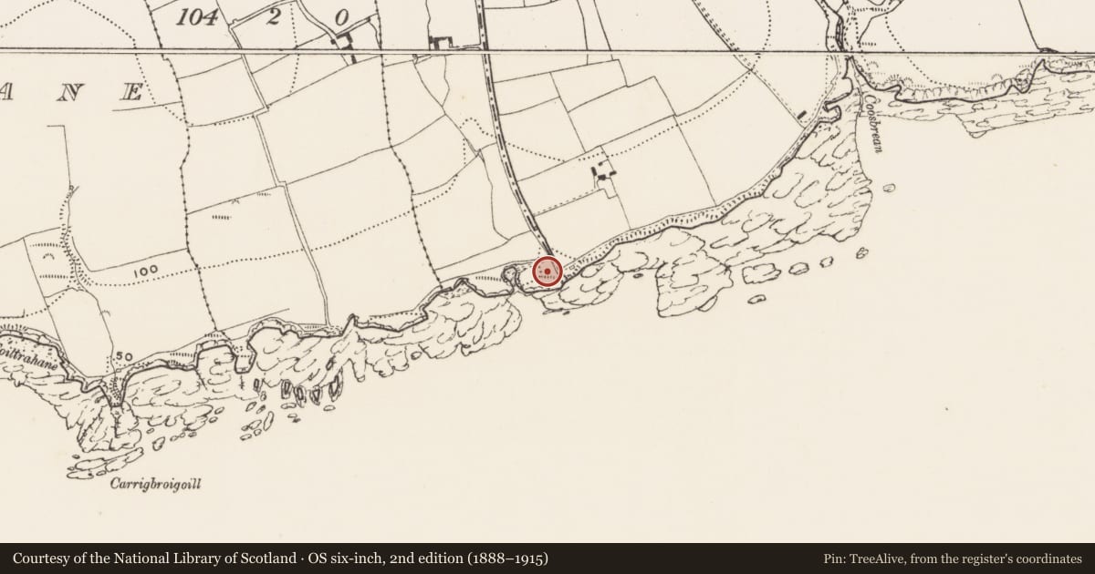 Ordnance Survey six-inch map, 2nd edition (1888–1915) covering the location of Hut site, Hacketstown, County Cork, with a pin at the register's coordinates