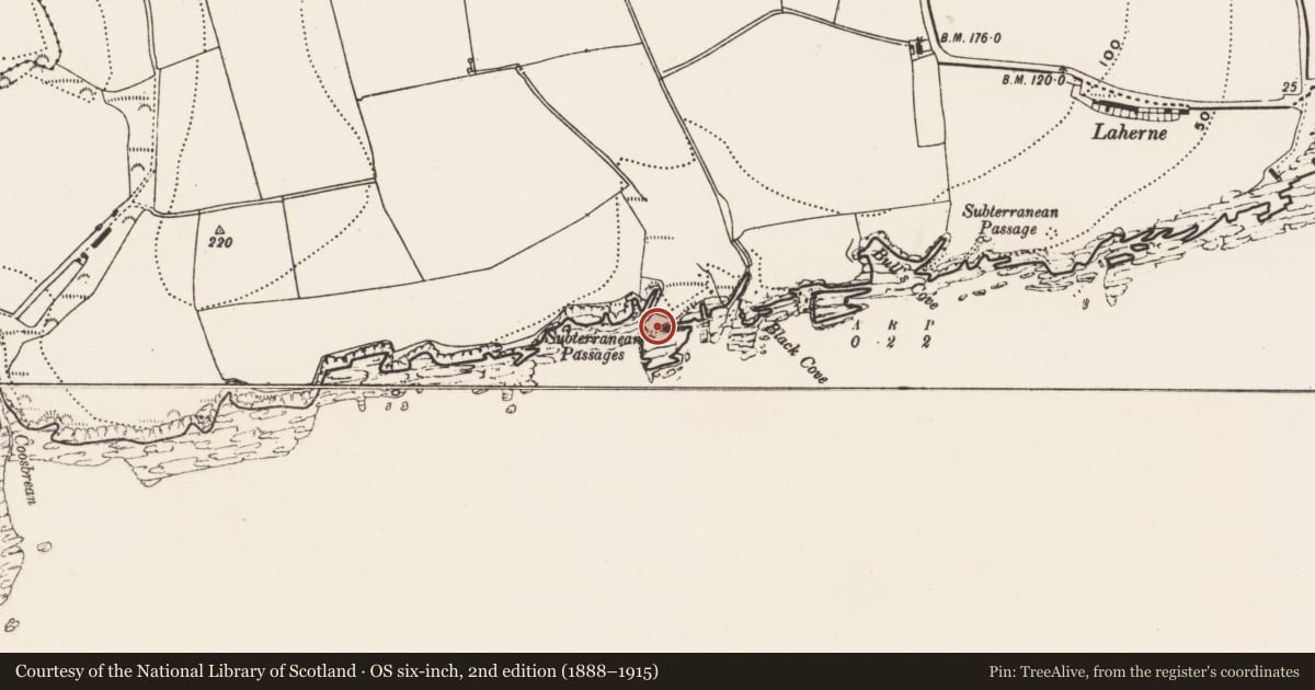 Ordnance Survey six-inch map, 2nd edition (1888–1915) covering the location of Promontory fort - coastal, Garrettstown, County Cork, with a pin at the register's coordinates