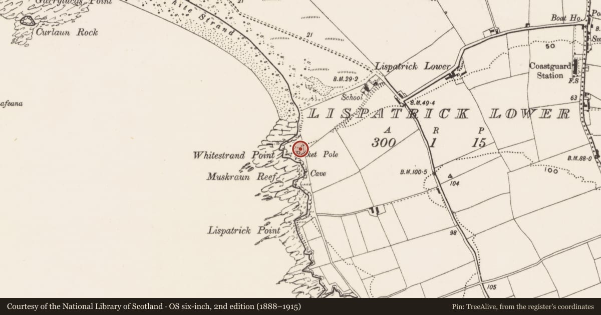 Ordnance Survey six-inch map, 2nd edition (1888–1915) covering the location of Promontory fort - coastal, Lispatrick Lower, County Cork, with a pin at the register's coordinates