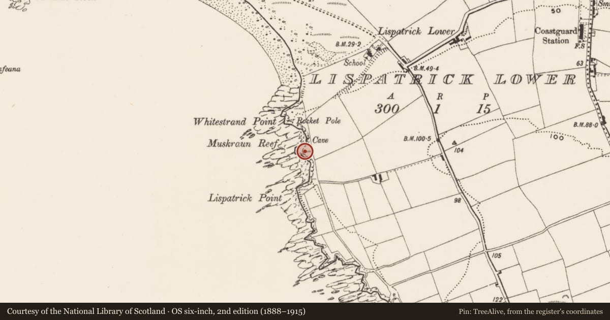 Ordnance Survey six-inch map, 2nd edition (1888–1915) covering the location of Promontory fort - coastal, Lispatrick Lower, County Cork, with a pin at the register's coordinates